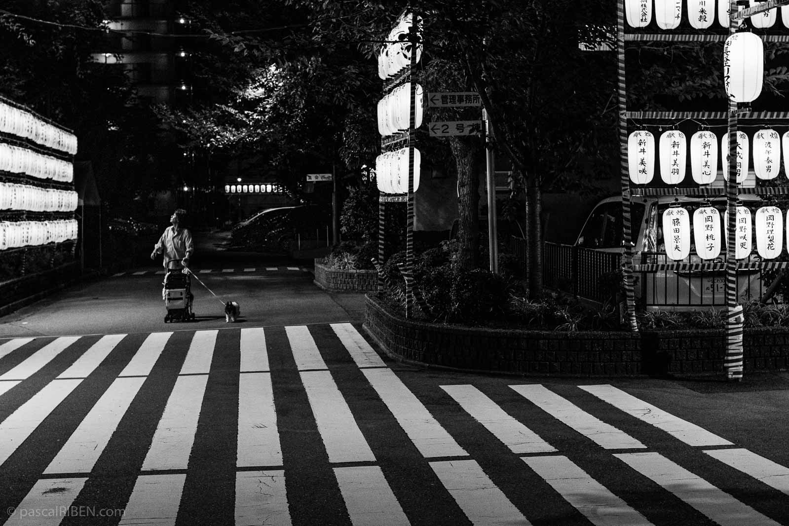 Japanese Lanterns By Night Osaka Japan