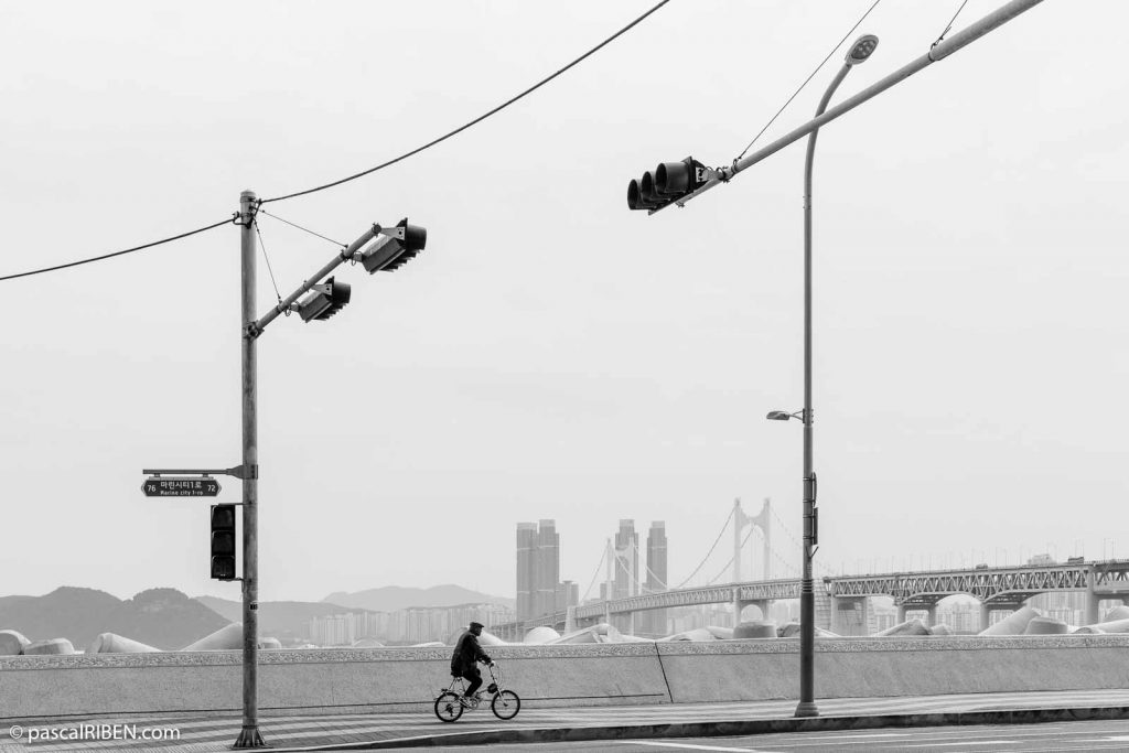 A cyclist on a small bicycle, in Busan, South Korea, with the Gwangan Bridge as background .