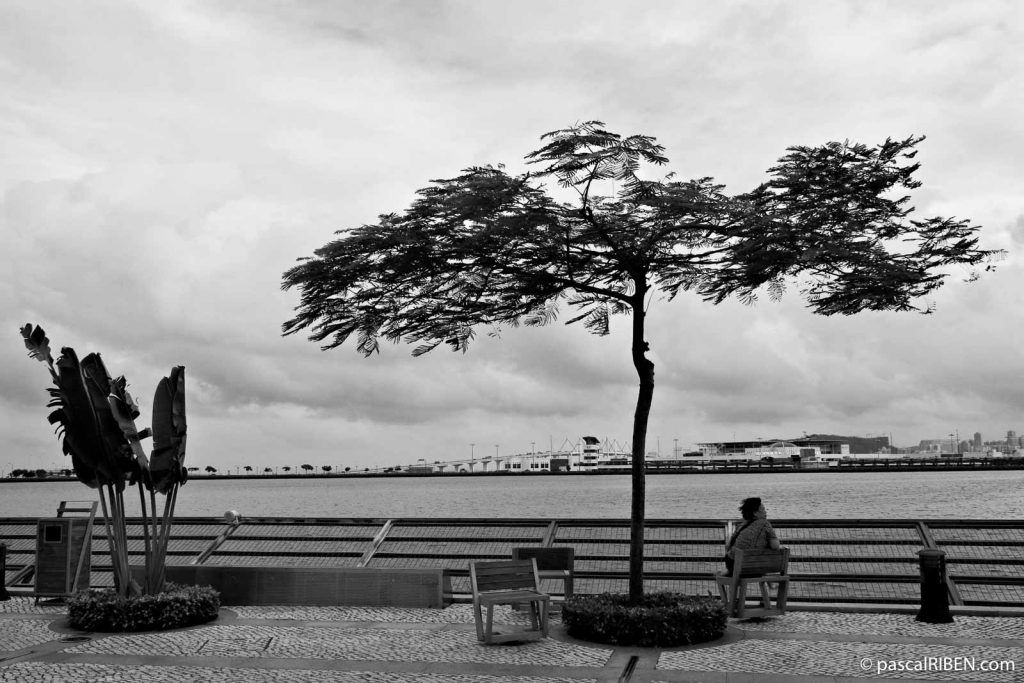 Tree and Woman in Front of the Reservoir, Macau, China