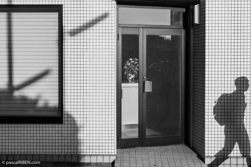 Flowers and shadow in Higashiōsaka, Japan, May 21, 2019